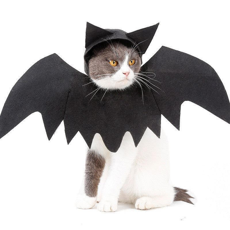 SpookyRide Costume