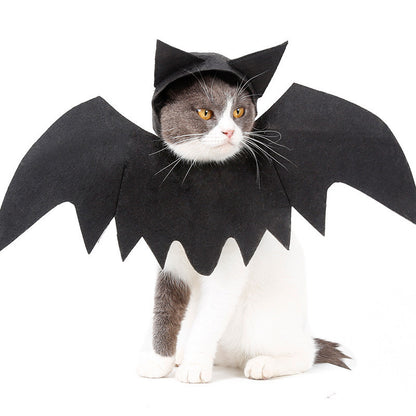 SpookyRide Costume