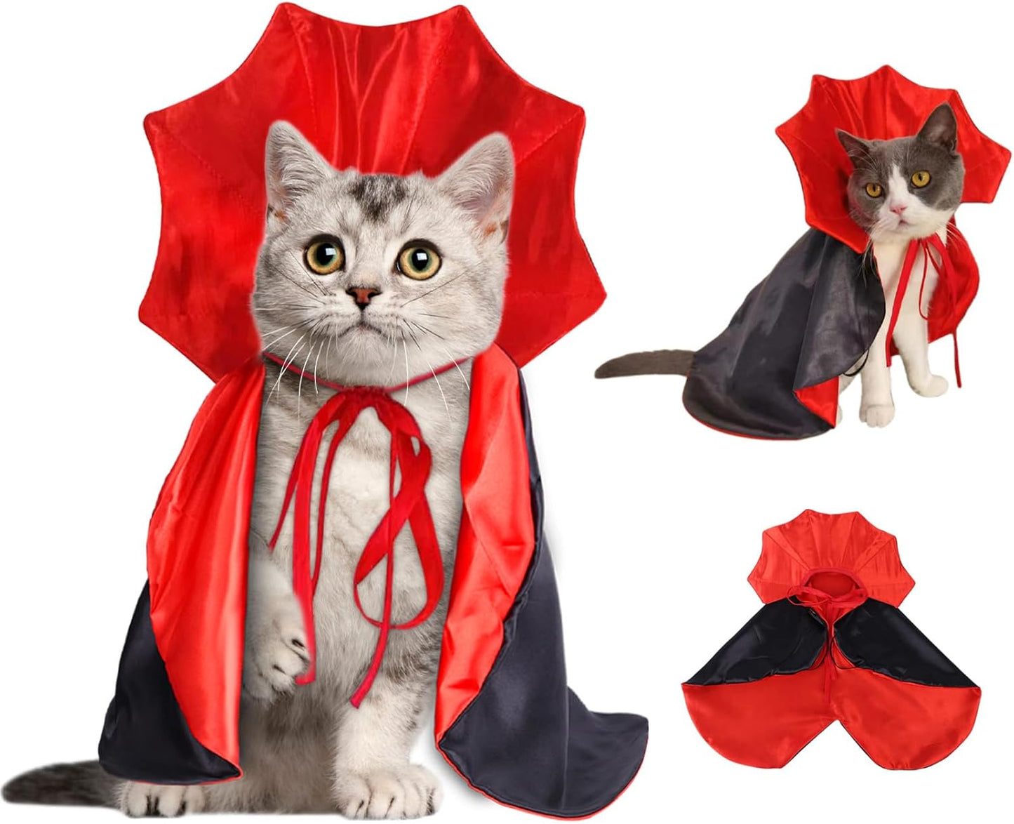 SpookyRide Costume